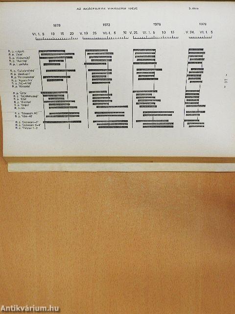 Az akác fajtaválaszték bővítése