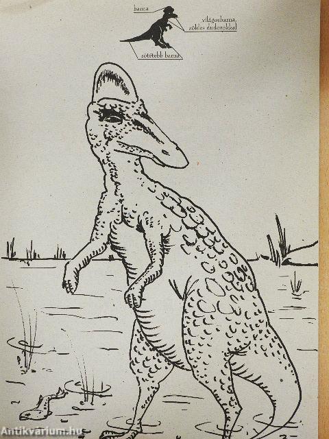 Otthonunk: a Föld - Őslények nyomában