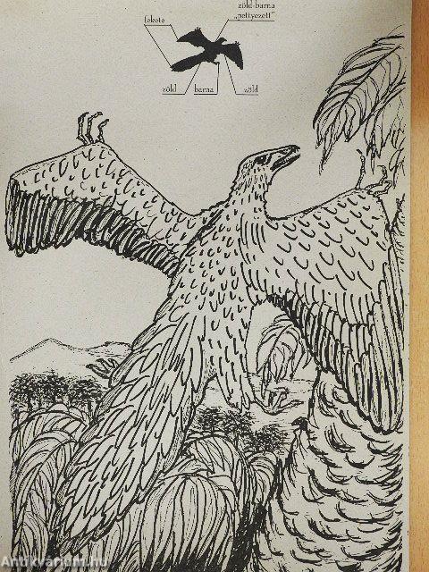 Otthonunk: a Föld - Őslények nyomában