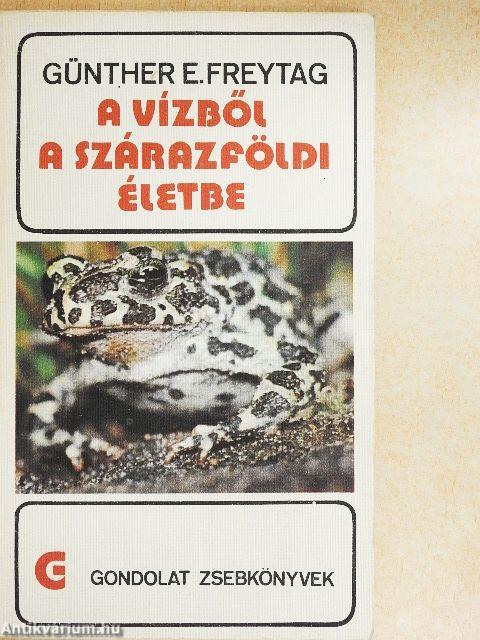 A vízből a szárazföldi életbe