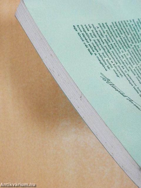 Történelmi és művészeti antológia Kőszegről II.