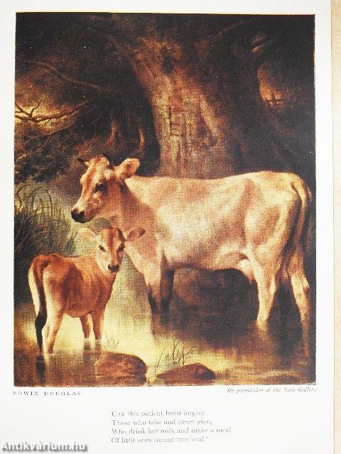 Lilliput December 1949