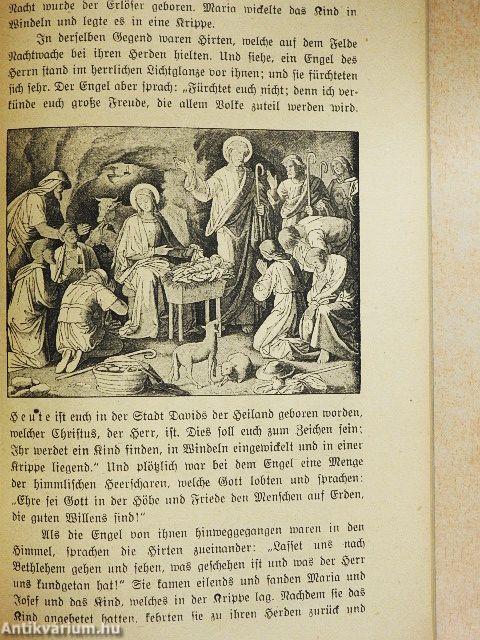 Kurze Biblische Geschichte des Alten und Neuen Testaments (gótbetűs)