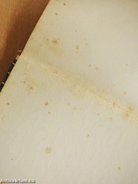 Viharos mennyország