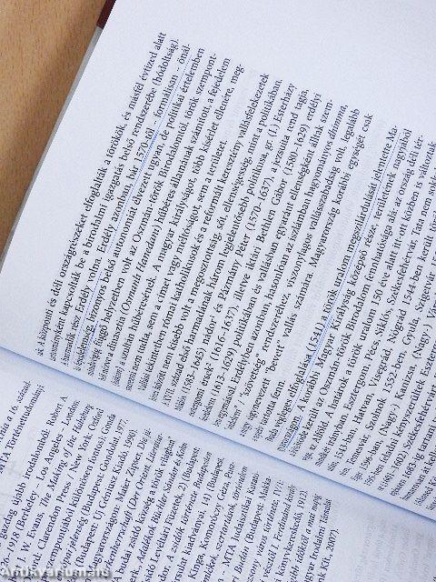 A zsidók története Magyarországon I-II.