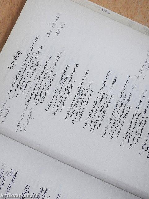 Irodalmi szöveggyűjtemény 11.