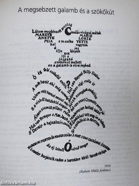 Irodalmi szöveggyűjtemény 11.