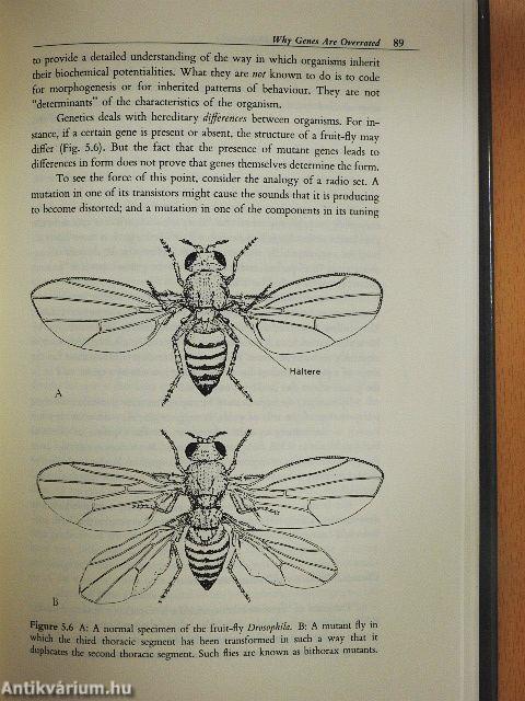 The Presence of the Past