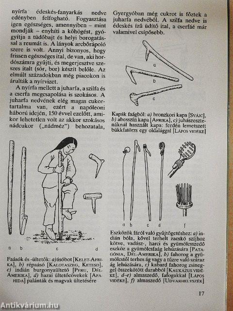 Mihez kezdjünk a természetben?