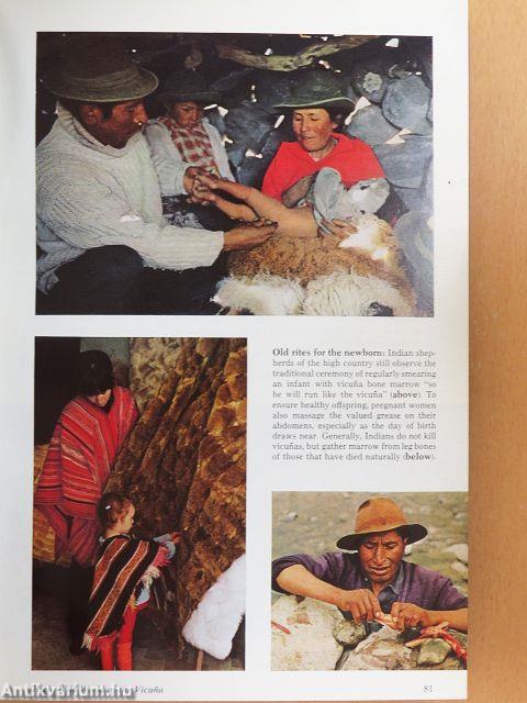 National Geographic 1973. I-II. (nem teljes évfolyam)