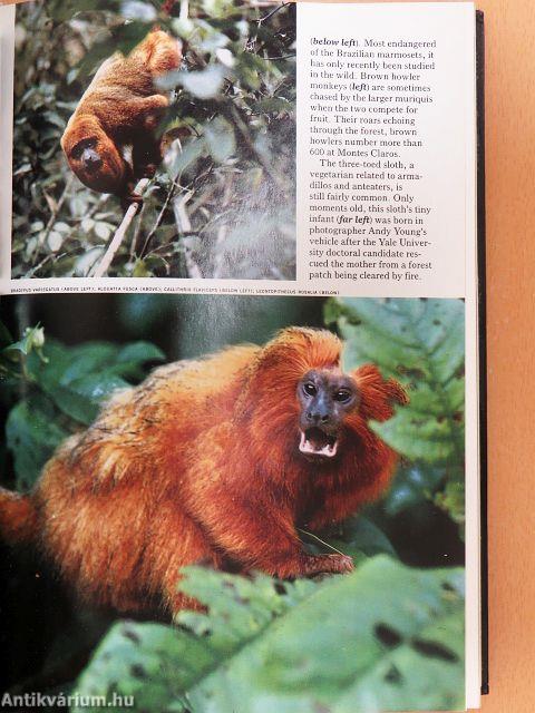 National Geographic January-December 1987. I-II.