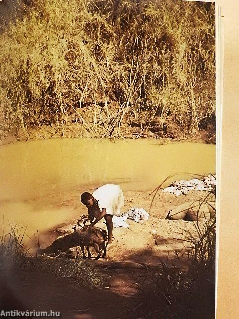 Szafári a Kilimandzsáró alatt