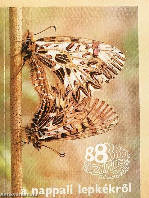 A nappali lepkékről