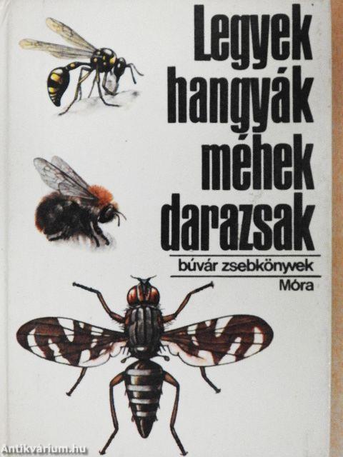 Legyek, hangyák, méhek, darazsak