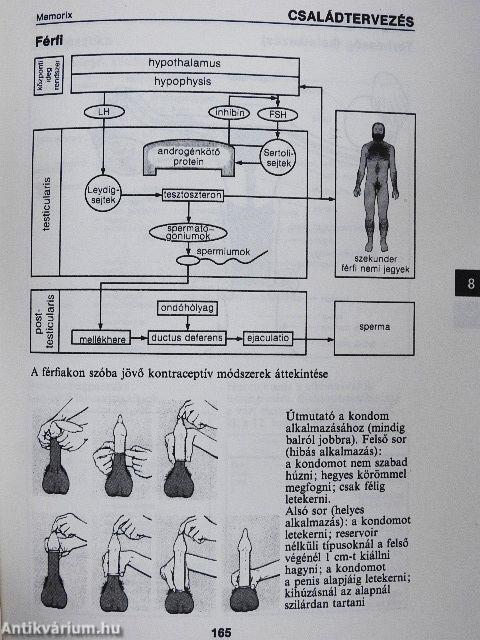 Nőgyógyászat