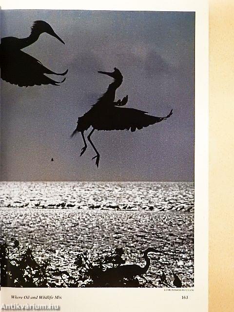 National Geographic February 1981