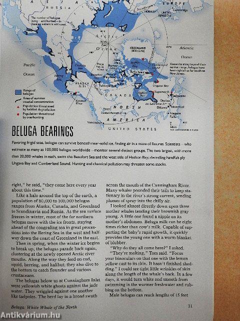 National Geographic June 1994