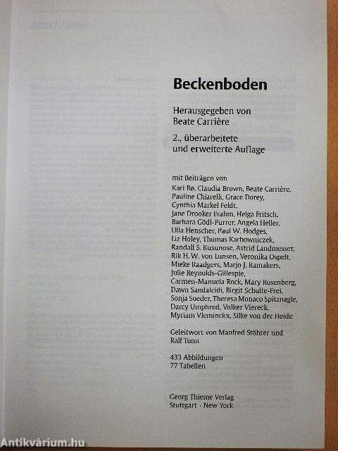 Beckenboden