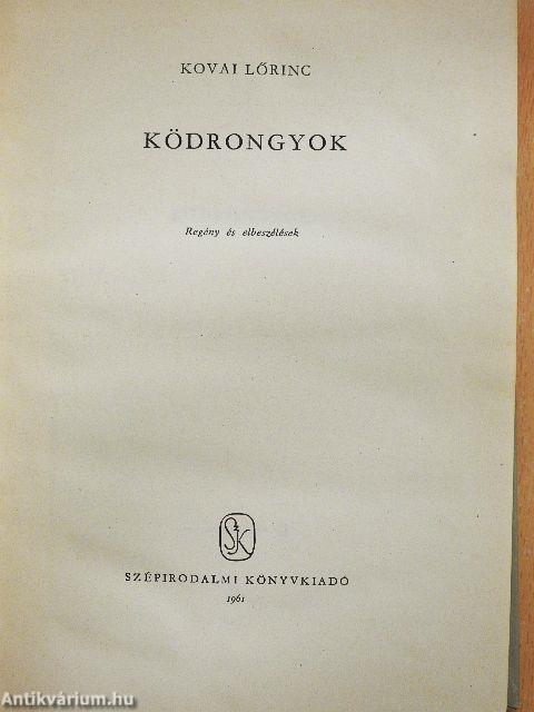 Ködrongyok