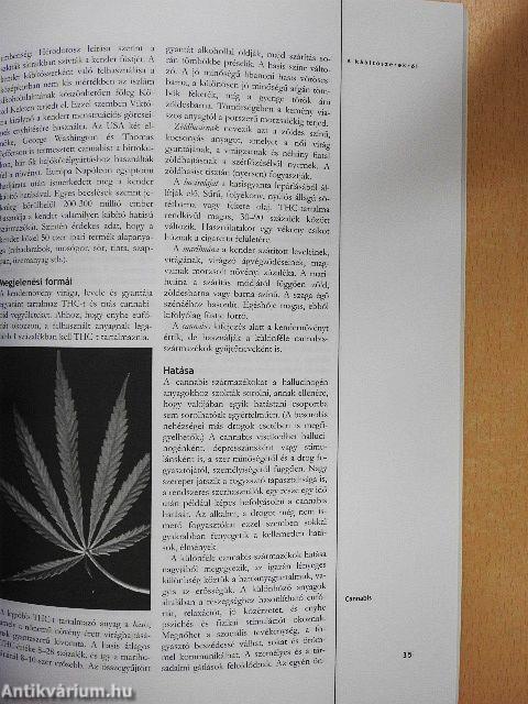 A kábítószerekről