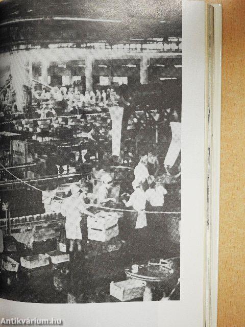 Erdőháton, Nyíren