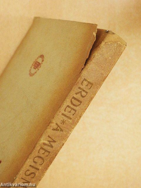 A megismerés kezdete