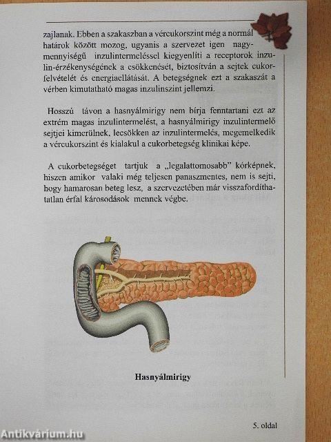 Cukorbeteg lettem...