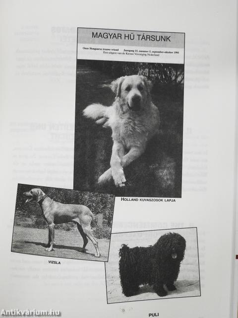 100. év elé... (dedikált példány)