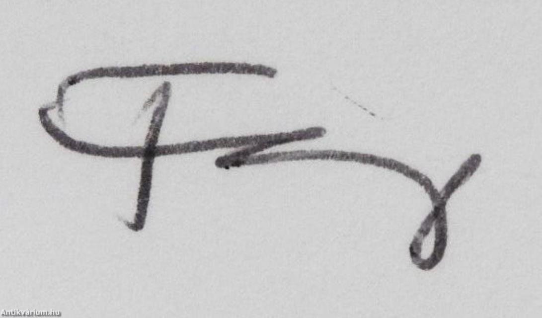 Ami Tolna vármegye középkori okleveleiből megmaradt (dedikált példány)