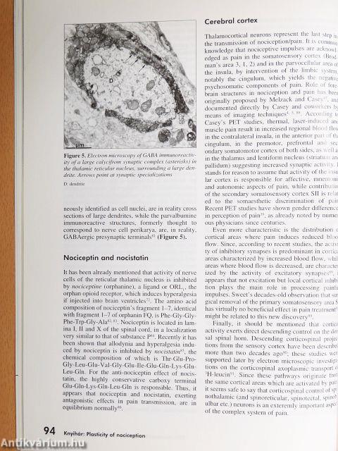 Ideggyógyászati Szemle 2006. március 20.