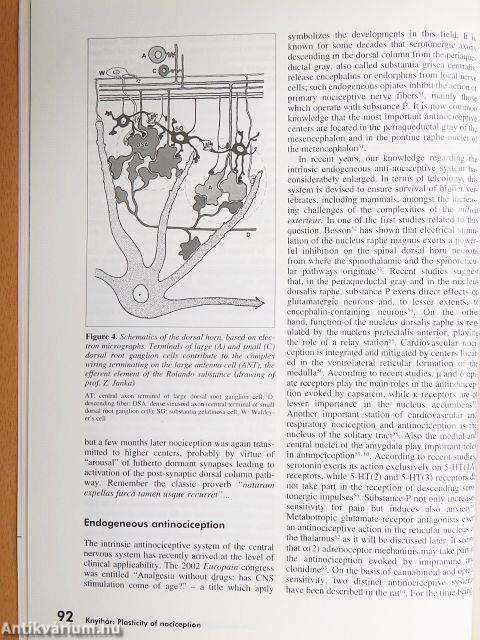 Ideggyógyászati Szemle 2006. március 20.