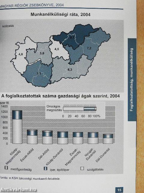 A magyar régiók zsebkönyve 2004