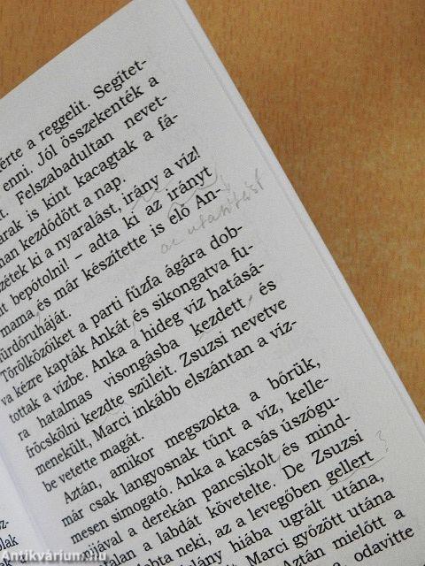 Üdvözlet a Fenyves-partról