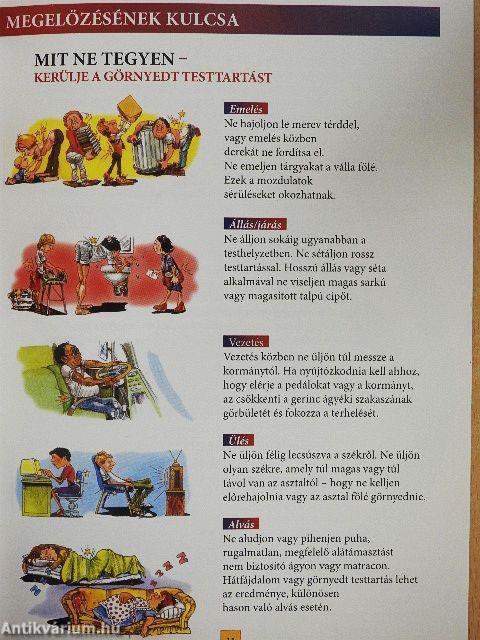 Hát- és derékfájdalmak