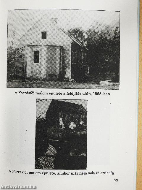 Tapolcafői pillanatok