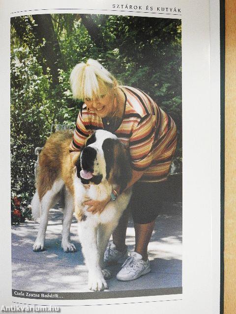 Sztárok és kutyák