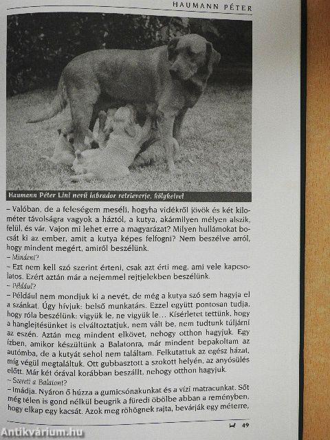 Sztárok és kutyák