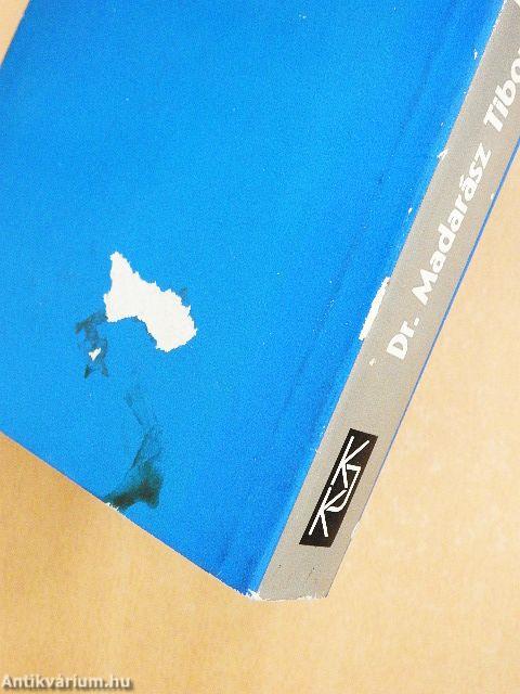 Városigazgatás és urbanizáció