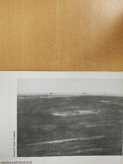 Magyar tájak VI. Országos Tájfestészeti Biennále