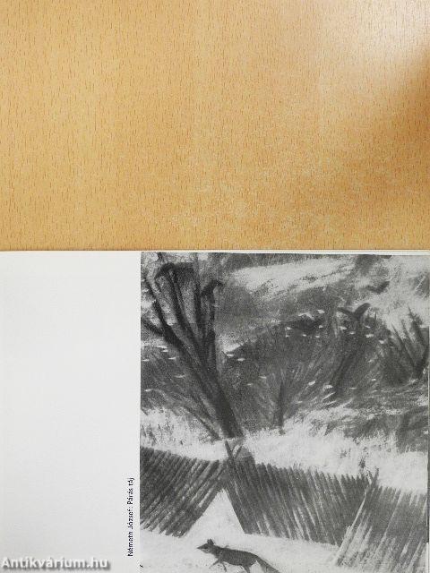 Magyar tájak VI. Országos Tájfestészeti Biennále