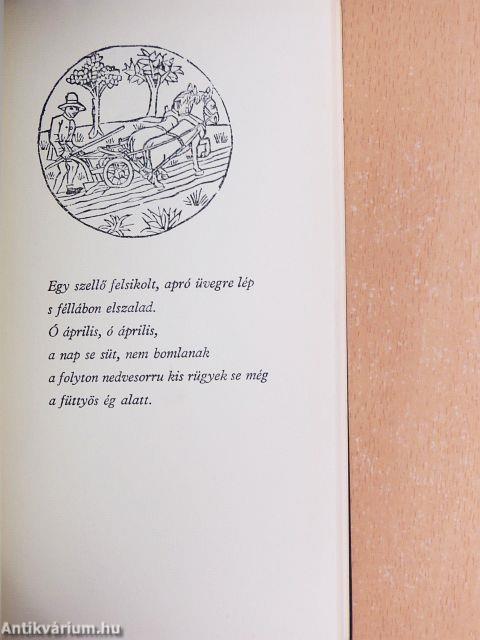 Naptár