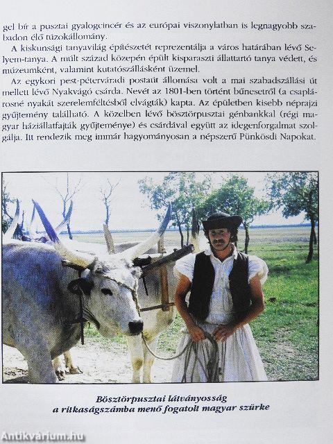 A Felső-Kiskunság és Dunamellék