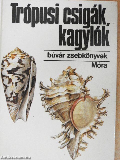 Trópusi csigák, kagylók