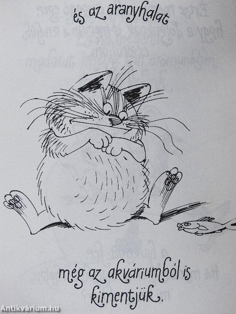 Kandúrhatnámságok