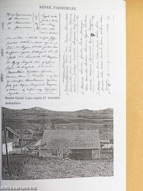 Gyulay Lajos Naplói I-II.