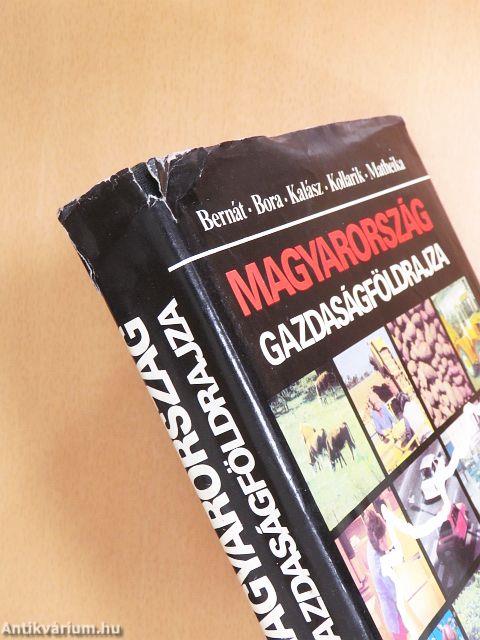 Magyarország gazdaságföldrajza