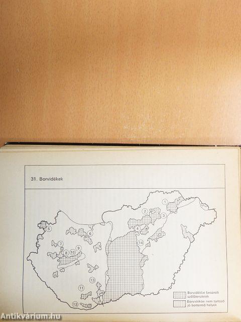 Magyarország gazdaságföldrajza