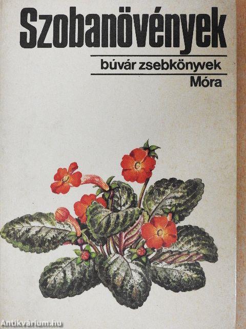 Szobanövények