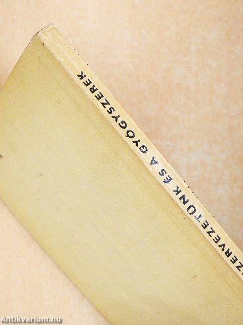 Szervezetünk és a gyógyszerek