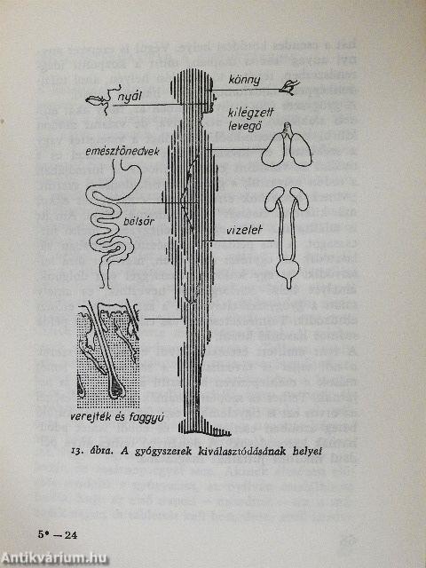 Szervezetünk és a gyógyszerek